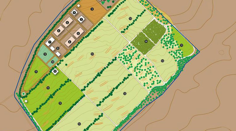 After six years in development, Project Wadi Attir is moving into the implementation stage for all of its major initiatives, including the Herding and Dairy Initiative, Medicinal Plants Initiative, Indigenous Vegetables Initiative, the Vistor, Training and Education Center, and an integrated system of green technologies.
