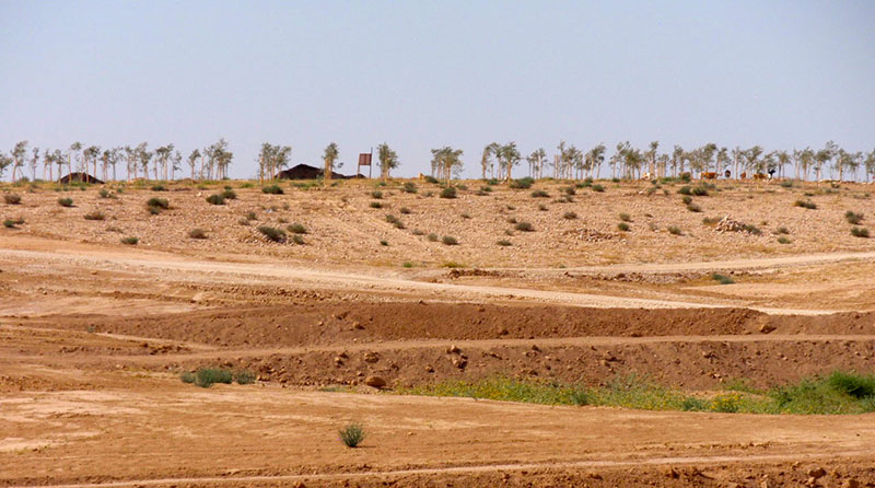 The Soil Enhancement and Water Retention Initiative has all but stopped erosion on the site, and the construction of strategic earth mounds have minimized water loss due to runoff.